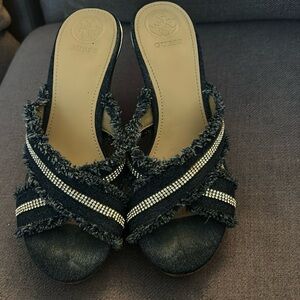 Guess Women's Evalea Wedge Sandal, Blue, 7 medium